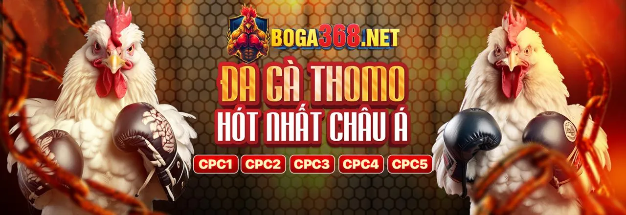 Hình ảnh chính Mig88 - Liên kết chính thức và an toàn
